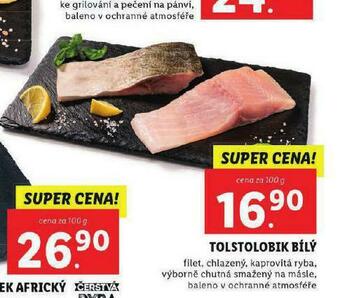 Lidl Tolstolobik bílý nabídka