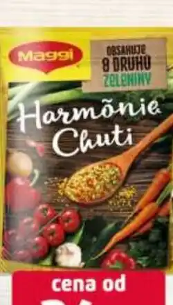 Terno MAGGI Harmonie chuti nabídka