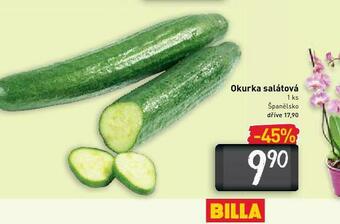 Billa Okurka salátová nabídka