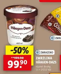 Lidl Häagen dazs zmrzlina nabídka