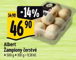 Albert Žampiony čerstvé