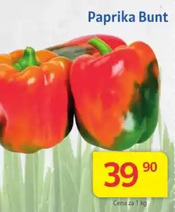 Kubík potraviny Paprika Bunt nabídka