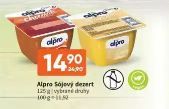 Terno Alpro Sójový dezert 125g nabídka