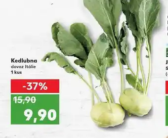 Kaufland Kedlubna bílá nabídka
