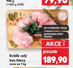 Králík celý bez hlavy