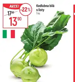 Globus Kedlubna bílá s listy nabídka