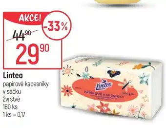 Globus LINTEO nabídka