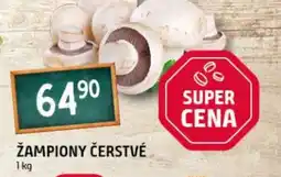 Žampiony čerstvé