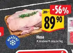 Albert Husa nabídka