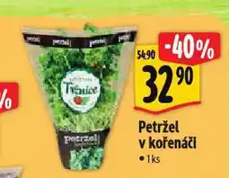 Albert Petržel v kořenáči nabídka