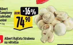 Albert Žampiony zahradní nabídka