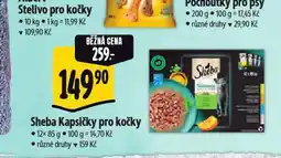 Albert Sheba kapsičky pro kočky nabídka