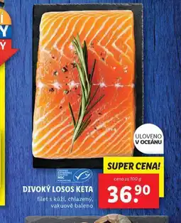 Lidl Divoký losos keta nabídka
