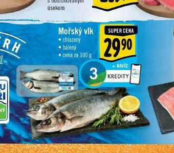 Albert Mořský vlk nabídka