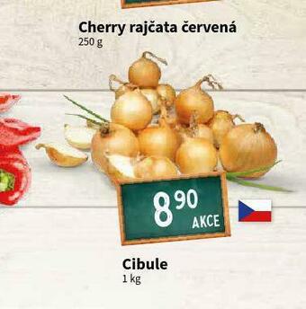 Terno Cibule nabídka