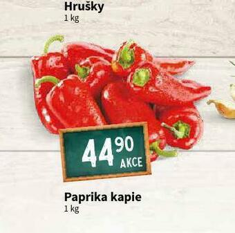 Terno Paprika kapie nabídka