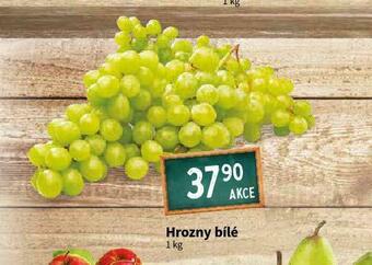 Terno Hrozny bílé nabídka