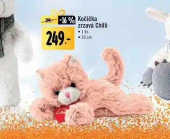 Albert Kočička zrzavá chilli nabídka