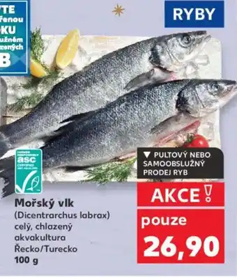 Kaufland Mořský vlk nabídka