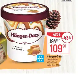 Globus Häagen-Dazs nabídka