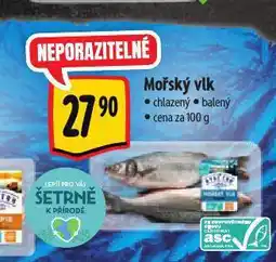 Albert Mořský vlk nabídka