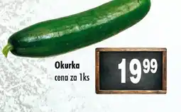 Qanto Okurka nabídka