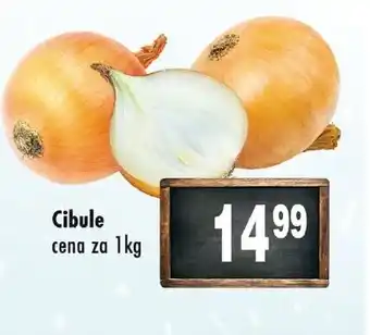 Qanto Cibule nabídka