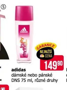 Teta Adidas dns nabídka