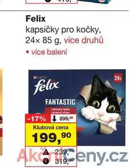 Barvy a laky drogerie Felix kapsičky pro kočky, 24x 85 g nabídka