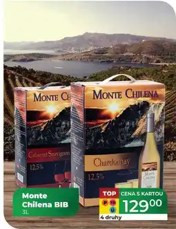 Tamda Foods Monte Chilena BIB 3L nabídka