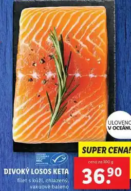 Lidl DIVOKÝ LOSOS KETA, cena za 100 g nabídka