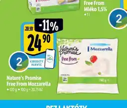 Albert Nature's Promise free from Mozzarella 120 g nabídka
