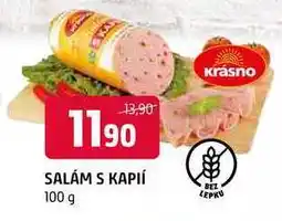Terno Salám s kaplí 100g nabídka