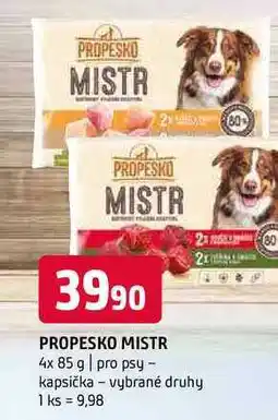 Terno Propesko mistr 4x 85 g pro psy kapsička vybrané druhy nabídka