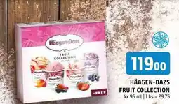 Terno Häagen-Dazs fruit collection 4x 95 ml nabídka