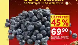 Lidl Kanadské borůvky nabídka