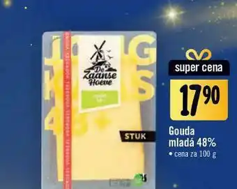 Jip Gouda mladá 48% nabídka