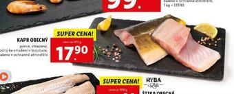 Lidl Kapr obecný nabídka