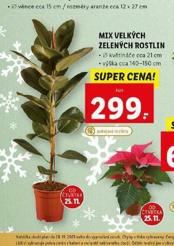 Lidl Mix velkých zelených rostlin nabídka