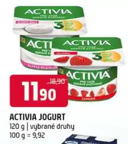 Terno ACTIVIA Jogurt nabídka