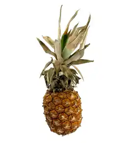 Billa Ananas 1ks nabídka