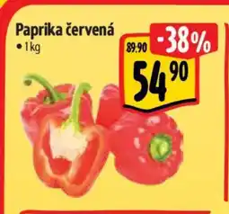 Albert Paprika červená nabídka