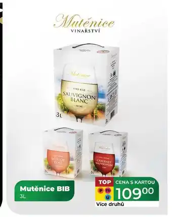 Tamda Foods Mutěnice BIB 3L nabídka