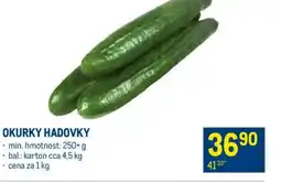 Makro Okurky hadovky nabídka