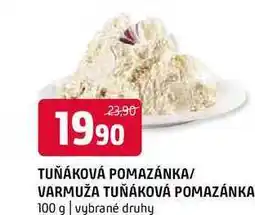 Terno Pomazánka tuňáková 100g vybrané druhy nabídka