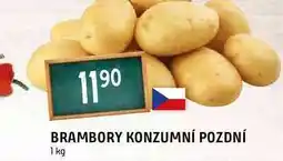 Terno Brambory konzumní pozdní 1 kg nabídka