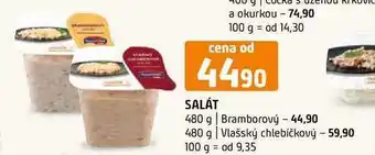 Terno Salát Bramborový 480 g Vlašský chlebíčkový 480g nabídka