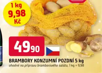 Trefa Brambory konzumní pozdní nabídka