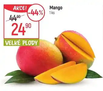 Globus Mango nabídka