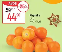 Globus Physalis nabídka